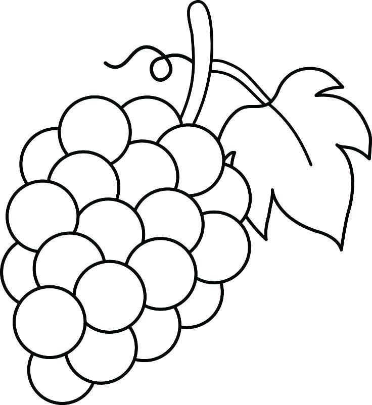 Grapes coloring pages.