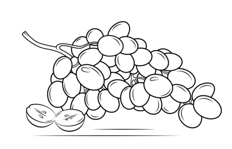 Grapes coloring page.