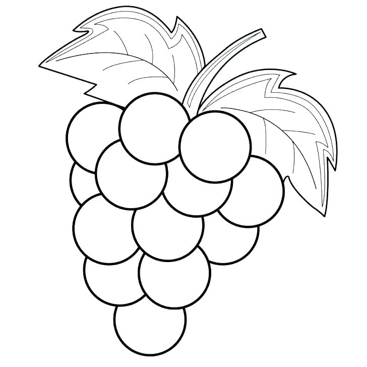 Grapes Leaves Drawing