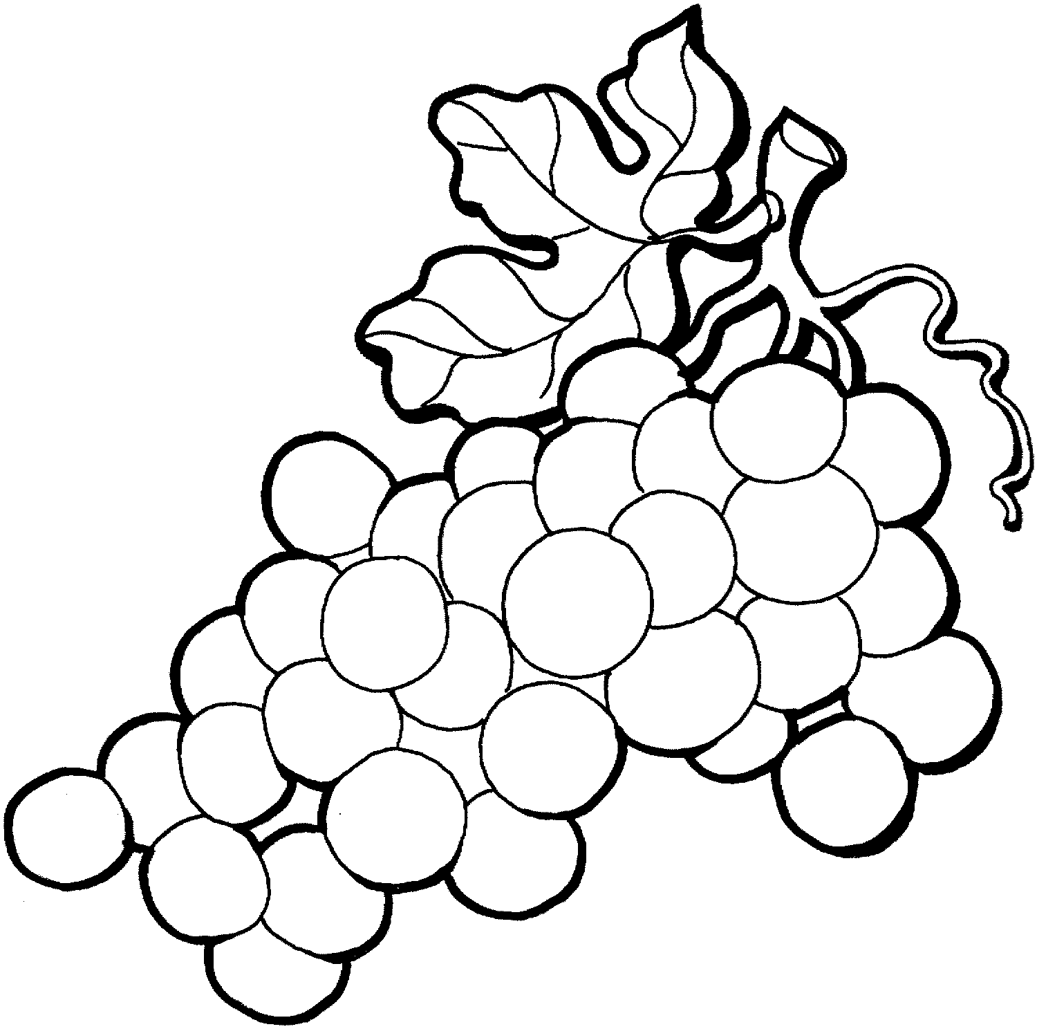 Free grapes drawing.