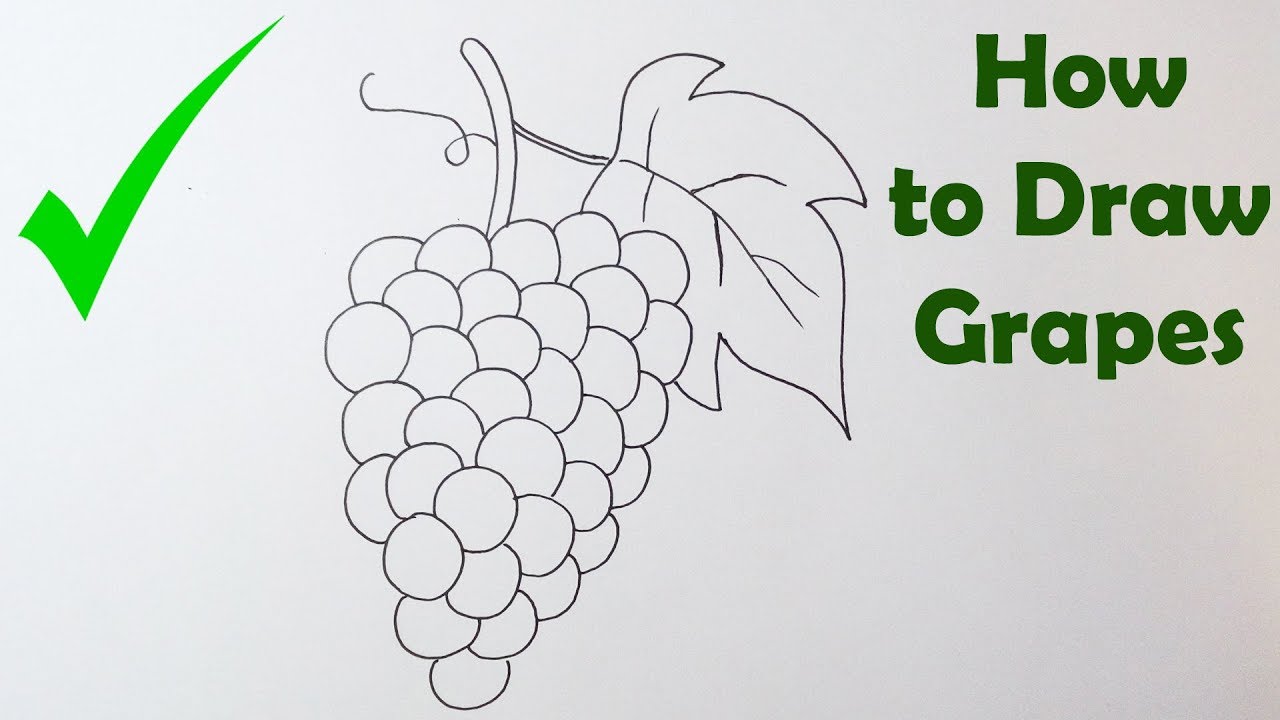 How draw grapes.