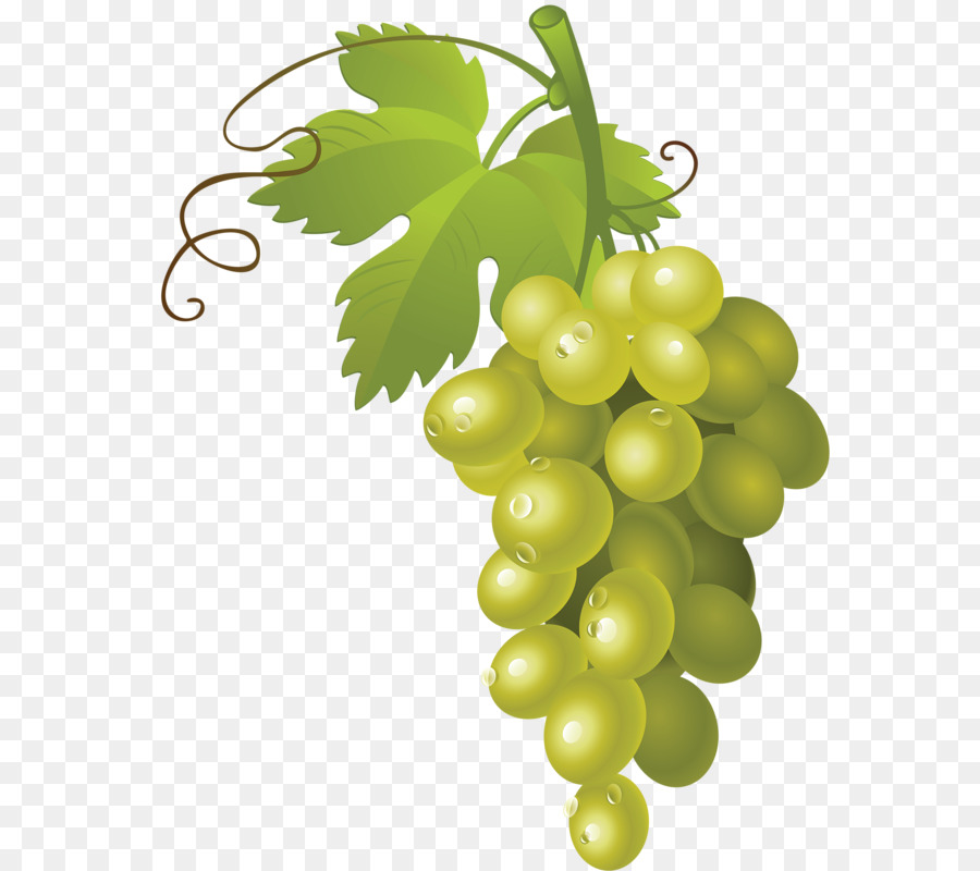 Bunch grapes png.
