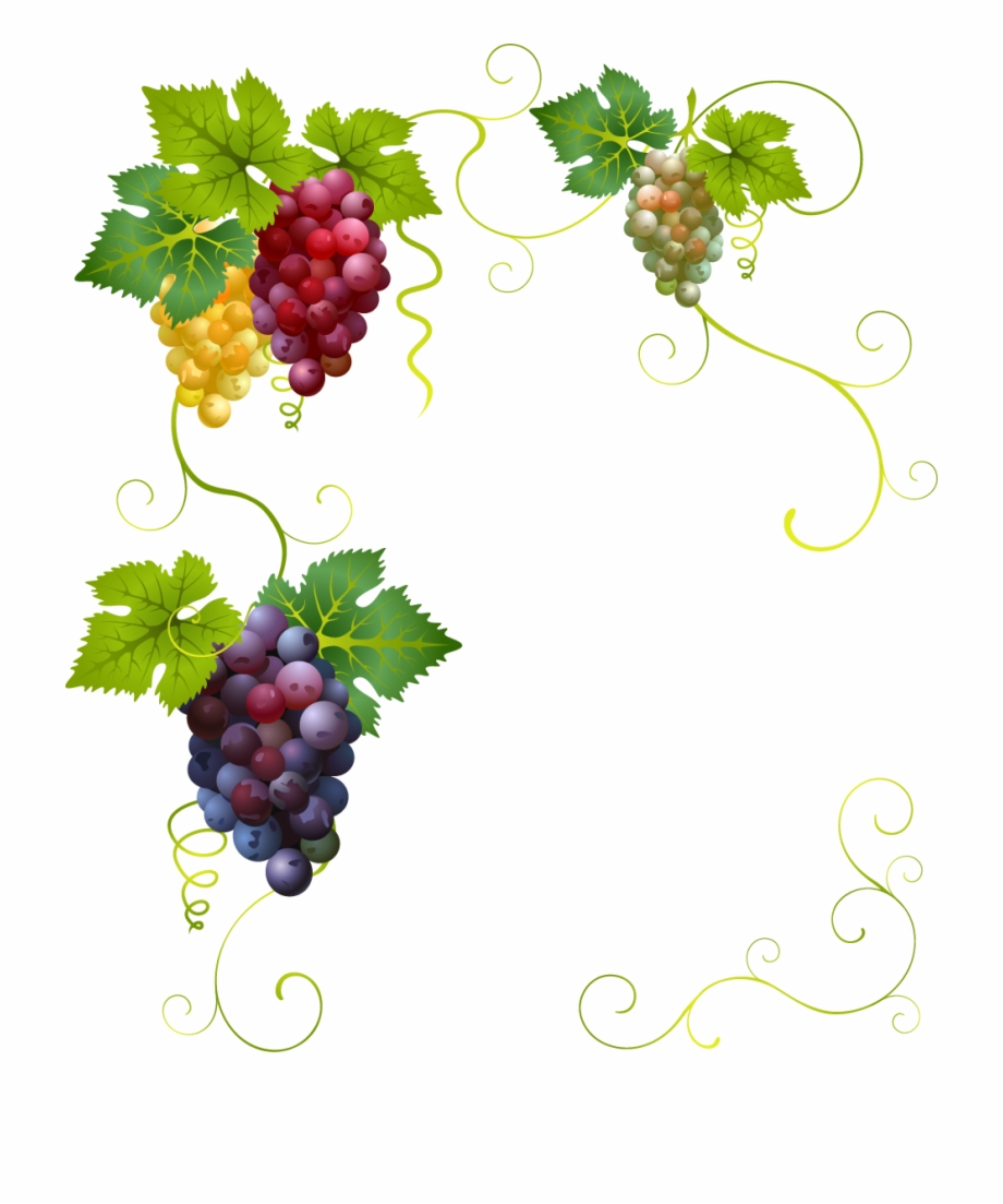 Creative grape vines.