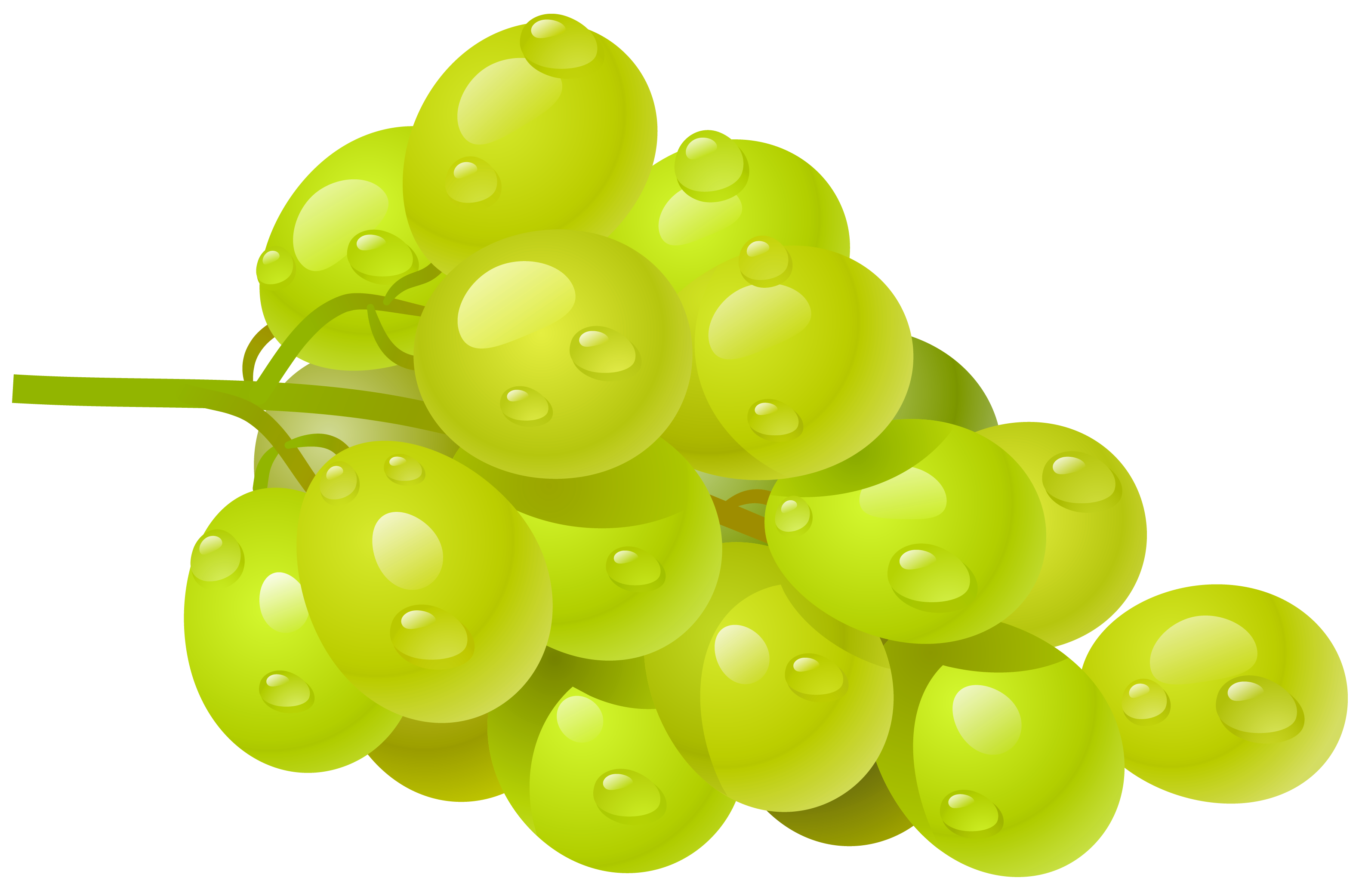 grapes clipart green