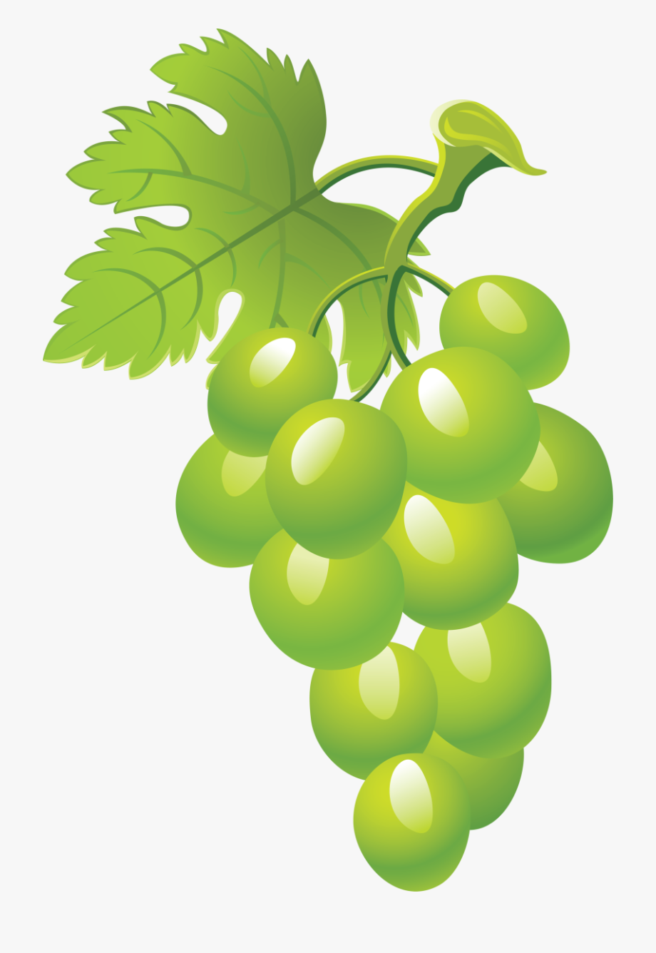 Grapes clipart green.