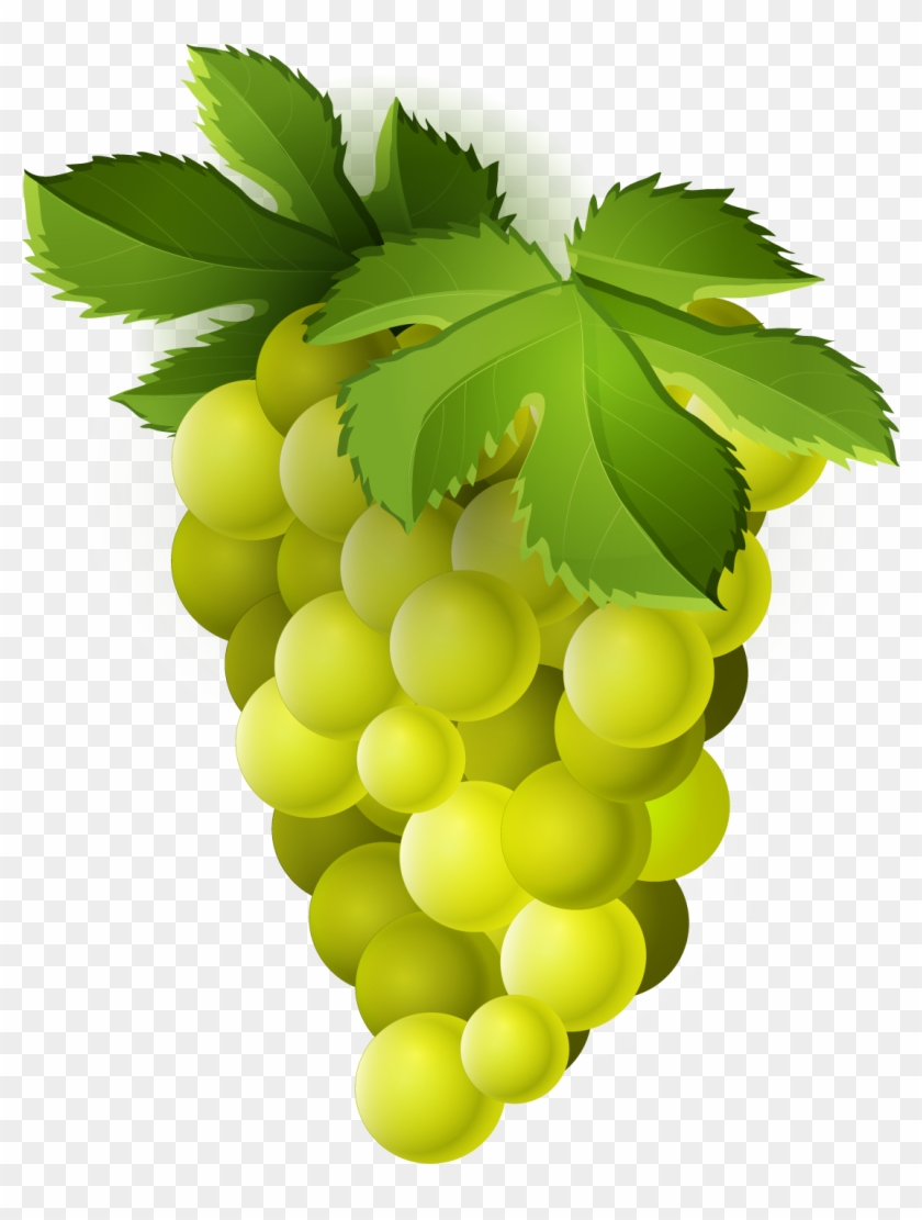 Grapes Clipart Common Fruit