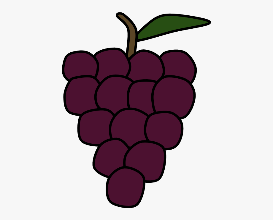 Grapes purple bunch.