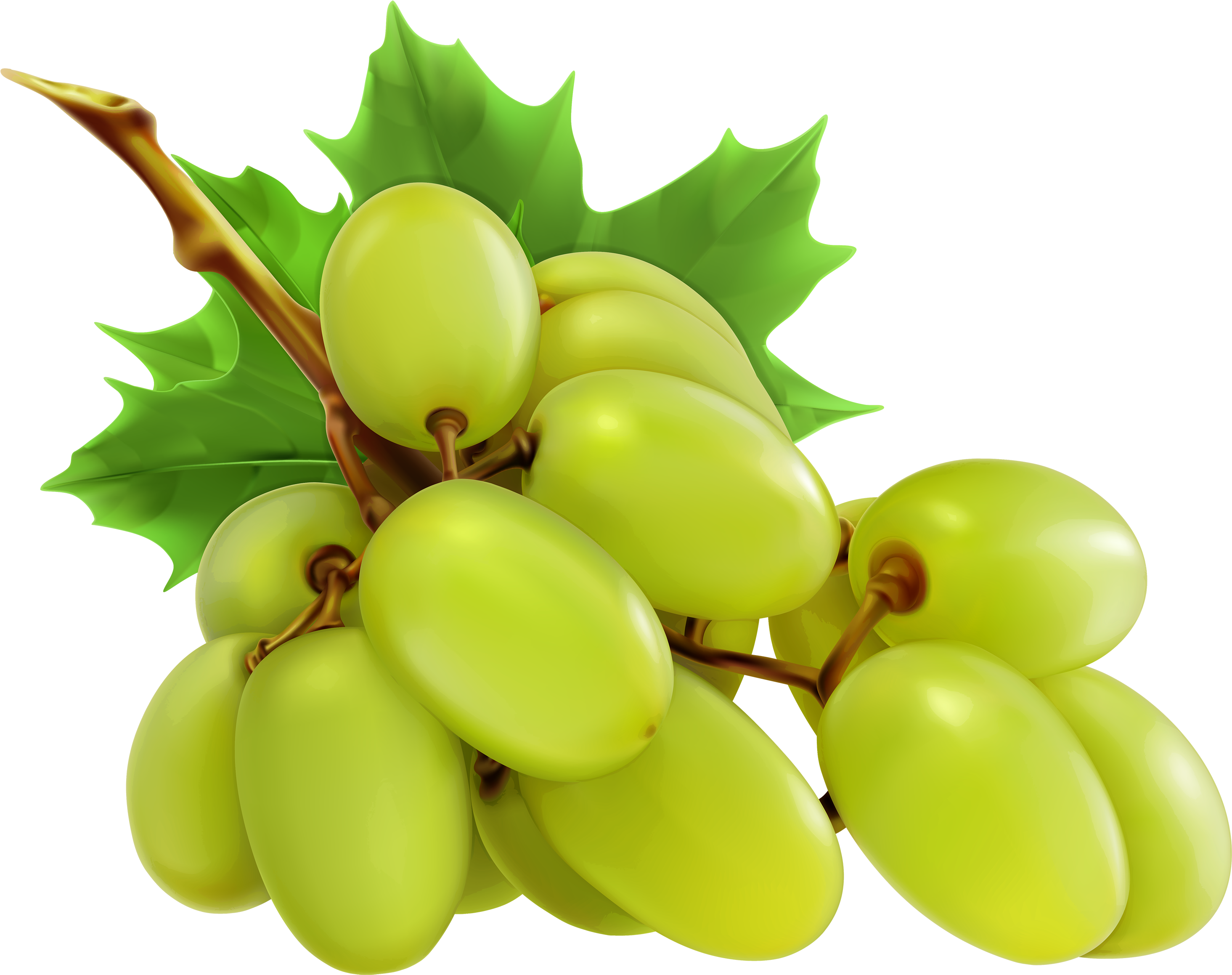 Grapes clipart red.