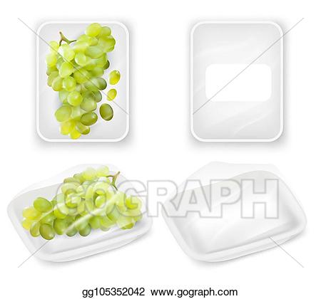 Vector stock grapes.