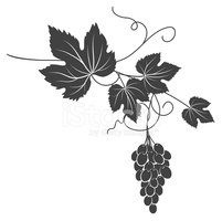 Decorative Grape Vine Silhouette stock vectors