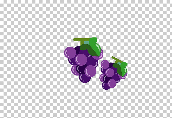 Grape purple simple.