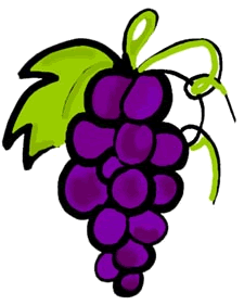 Free purple grapes.