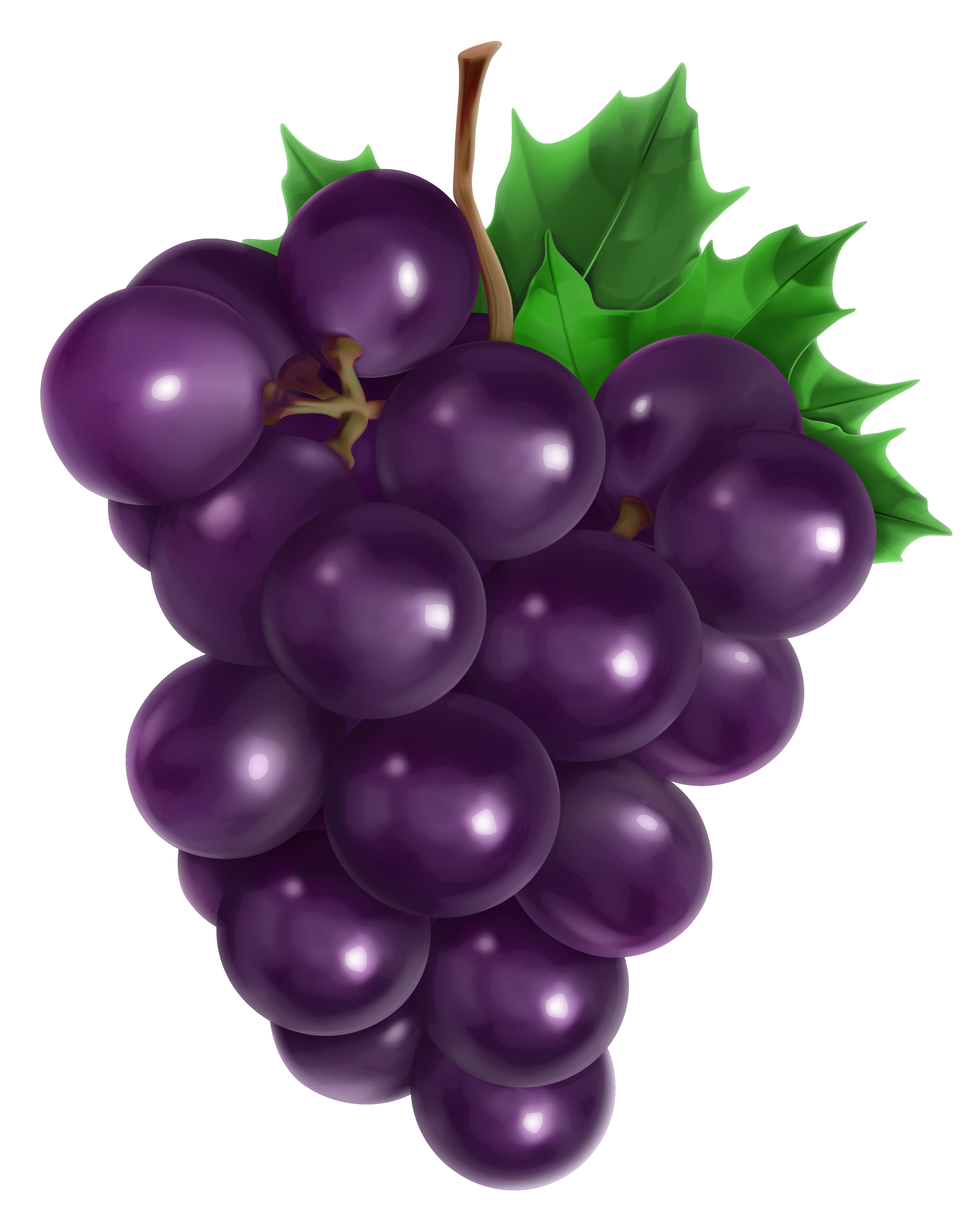Transparent grape png.