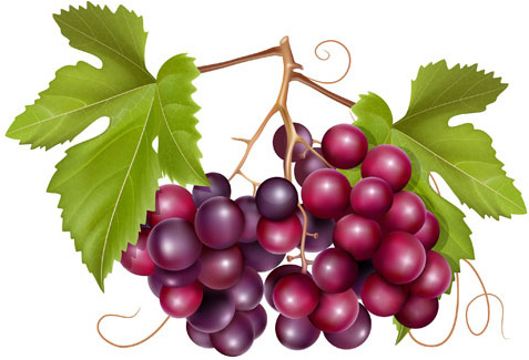 Grape wine clip.