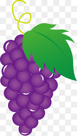 Grapes vector vector.
