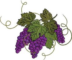 Grapes grape art.