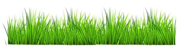 Free Animated Grass Cliparts, Download Free Clip Art, Free