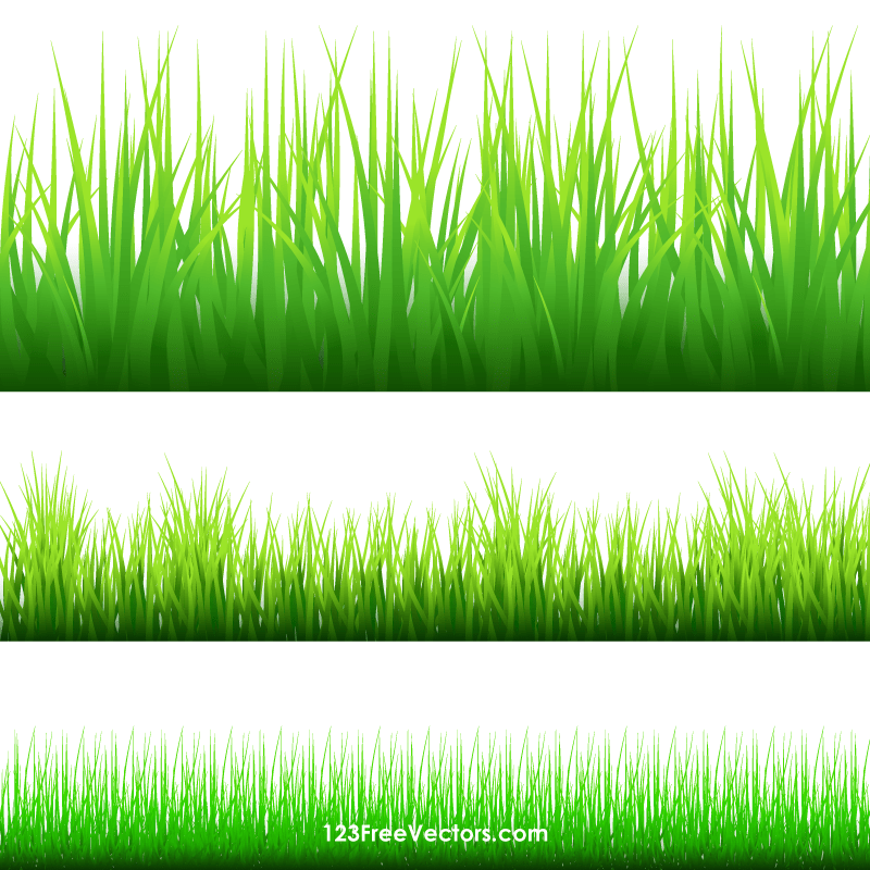 grass clipart boarder
