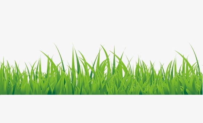 Green Hand Painted Small Grass Border Texture PNG, Clipart