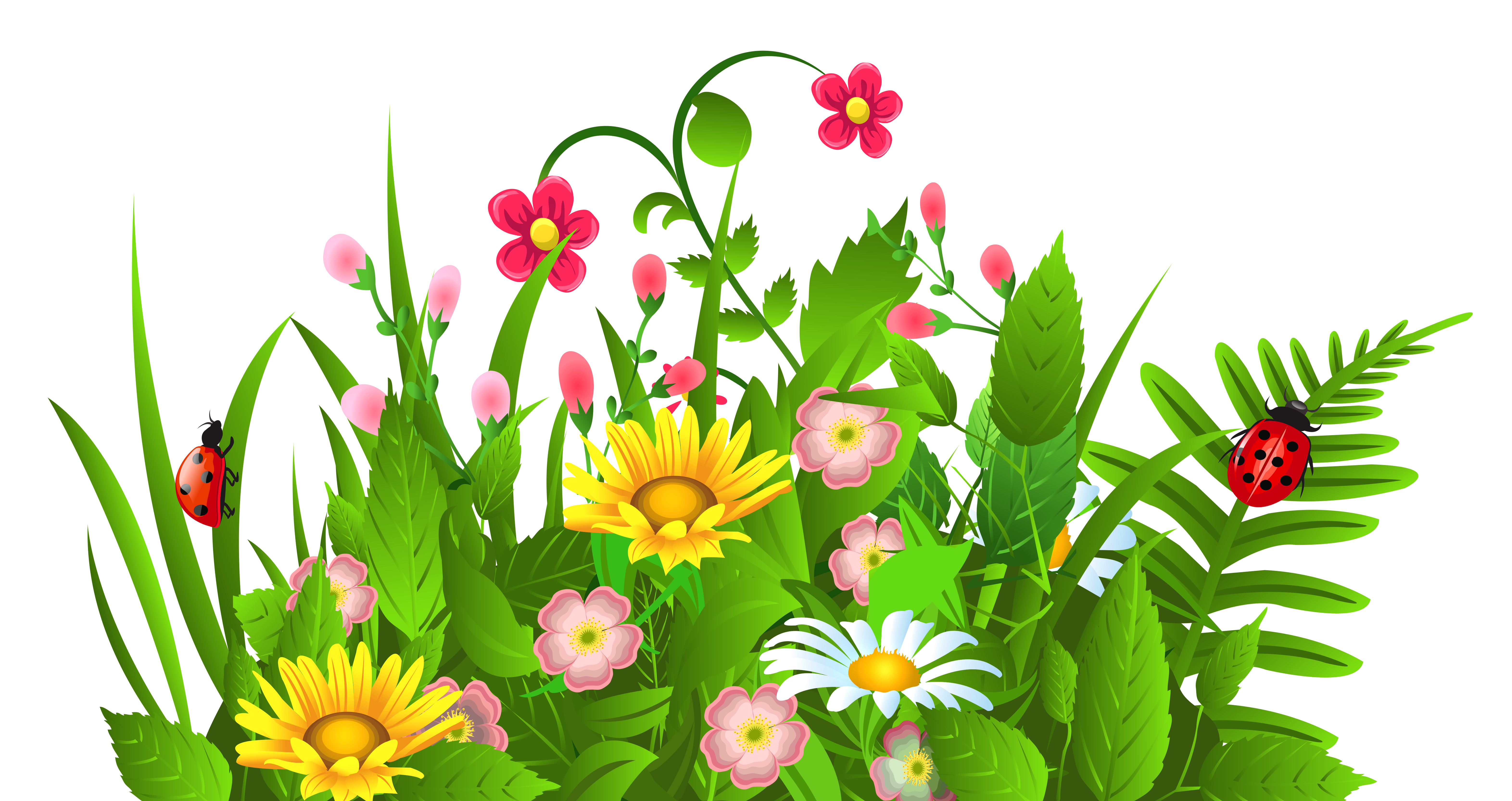 Cute Grass and Flowers PNG Clipart