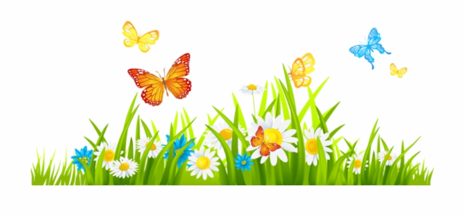 Grass With Flower Background Png