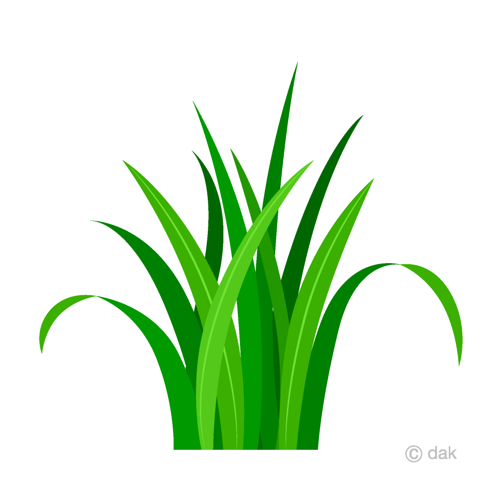 Free Simple Green Grass Clipart Image