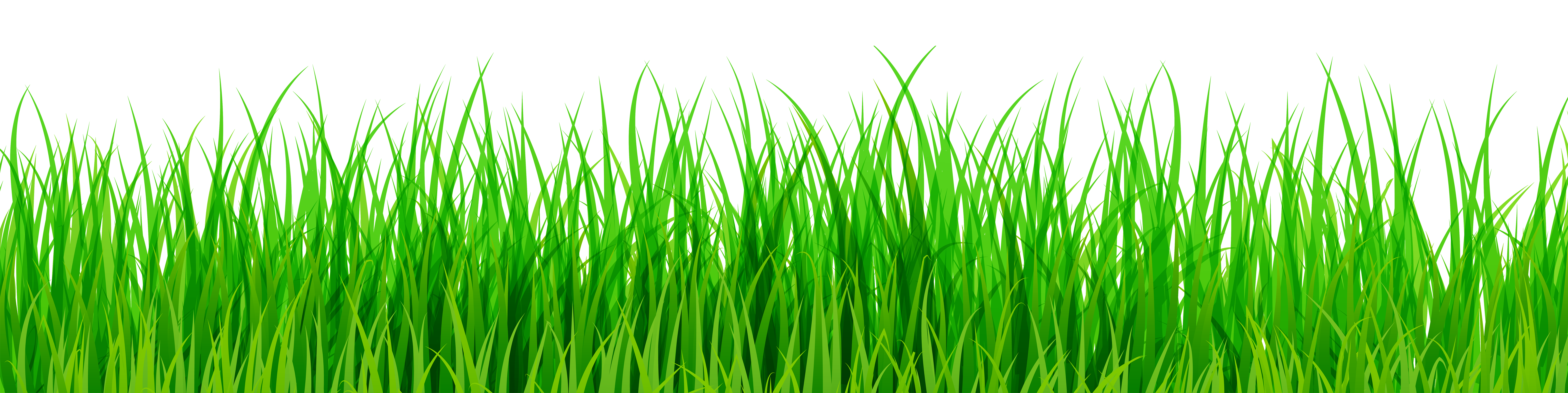 Green Grass PNG Clip Art