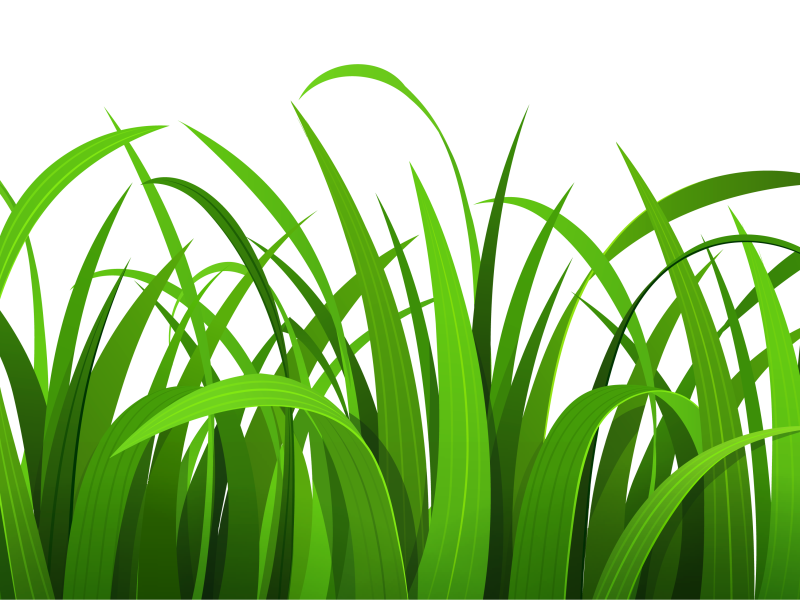 Free grass cliparts.