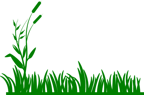Green Grass clip art
