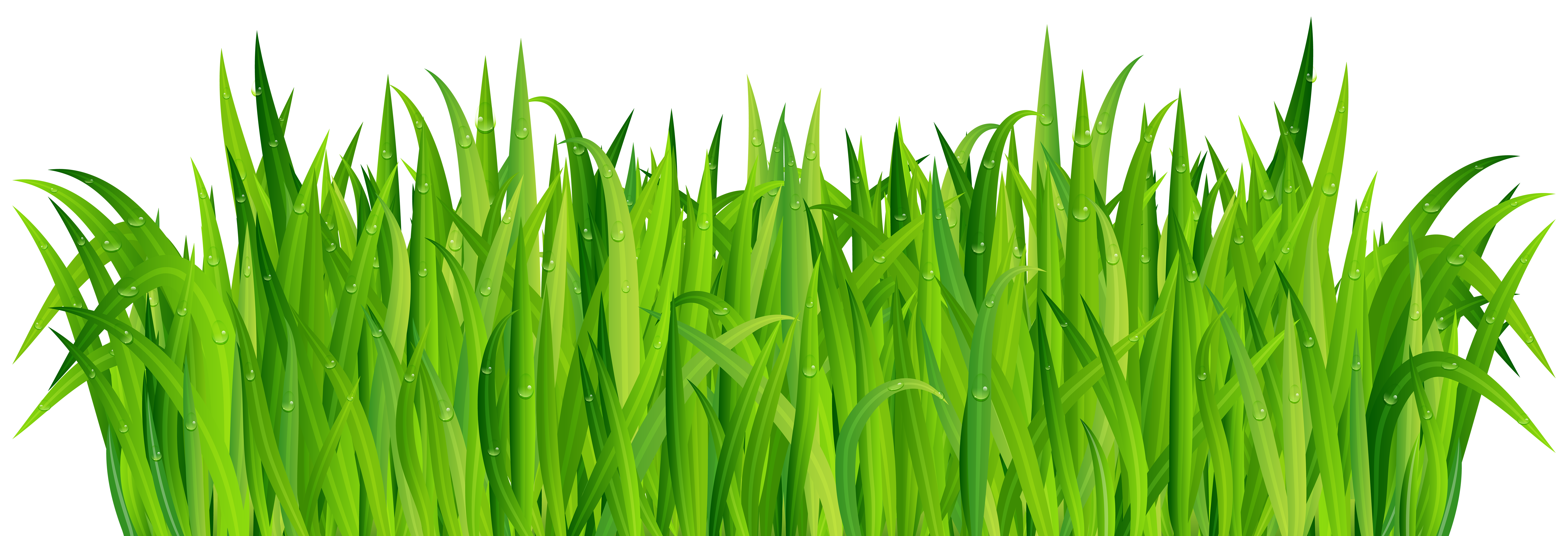 Fresh Green Grass PNG Clip Art Image