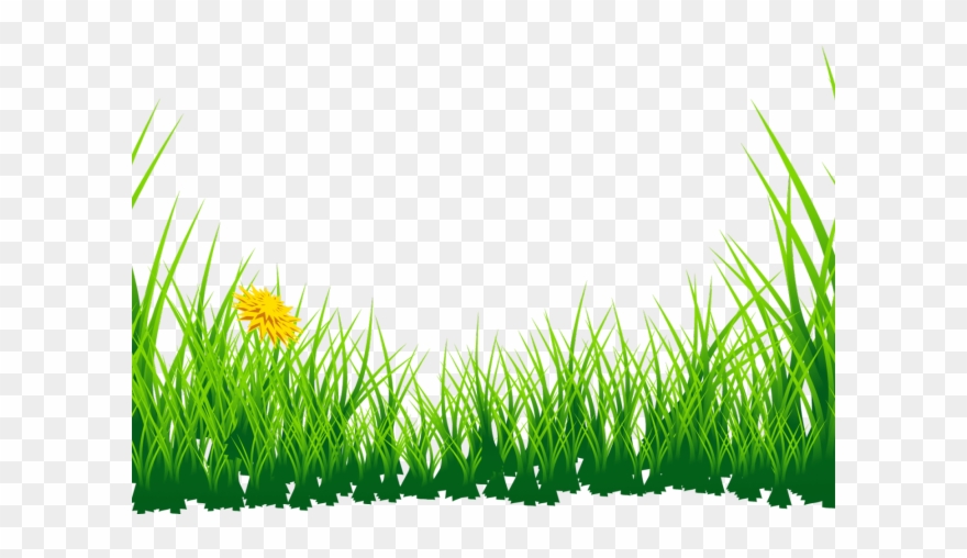 Lawn Clipart Jungle Grass