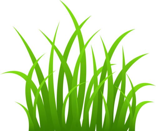 Long grass clipart