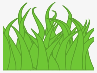 Long Grass PNG, Free HD Long Grass Transparent Image