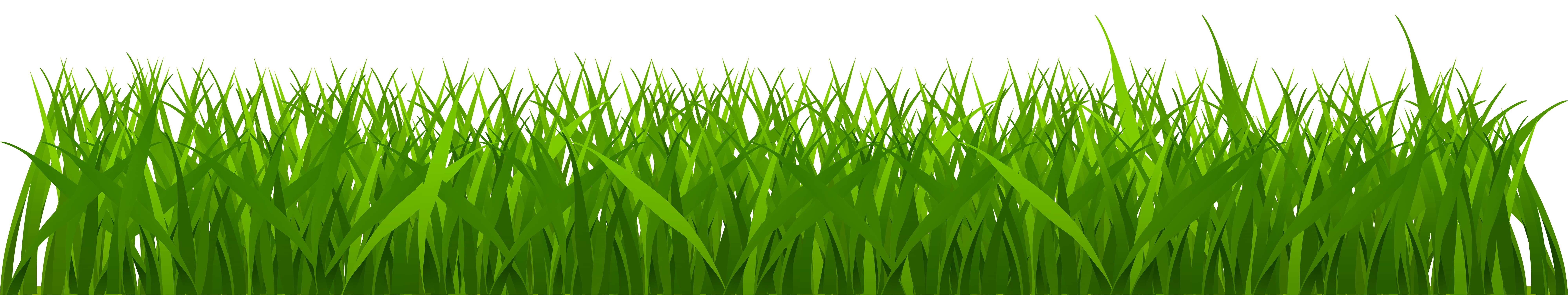 Daisies clipart long grass, Daisies long grass Transparent