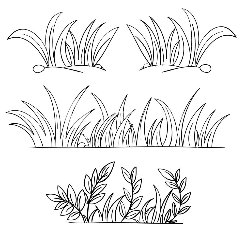 Illustration grass and.