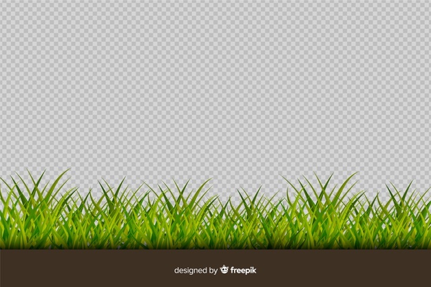 Green grass border realistic style Vector