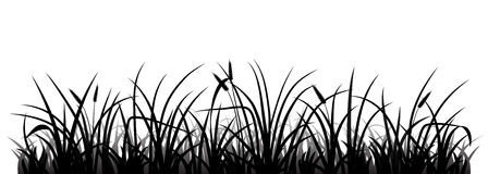 Free grass silhouette.