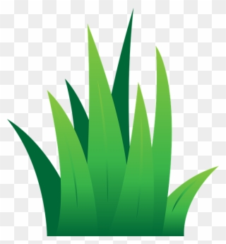 grass clipart simple