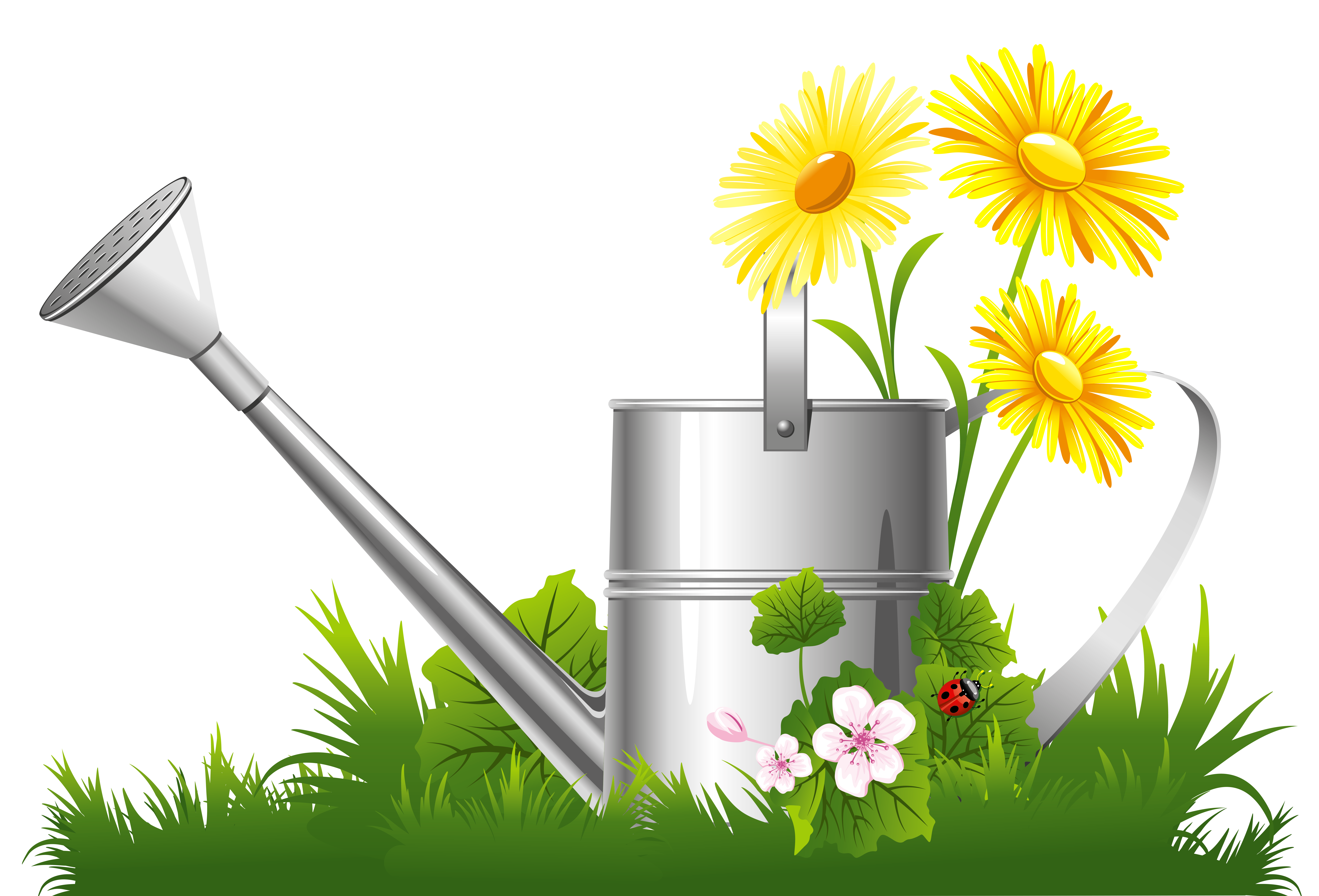 Spring Decoration with Water Can Grass and Flowers PNG