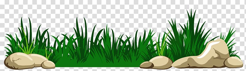 Grass clipart clear background, Grass clear background