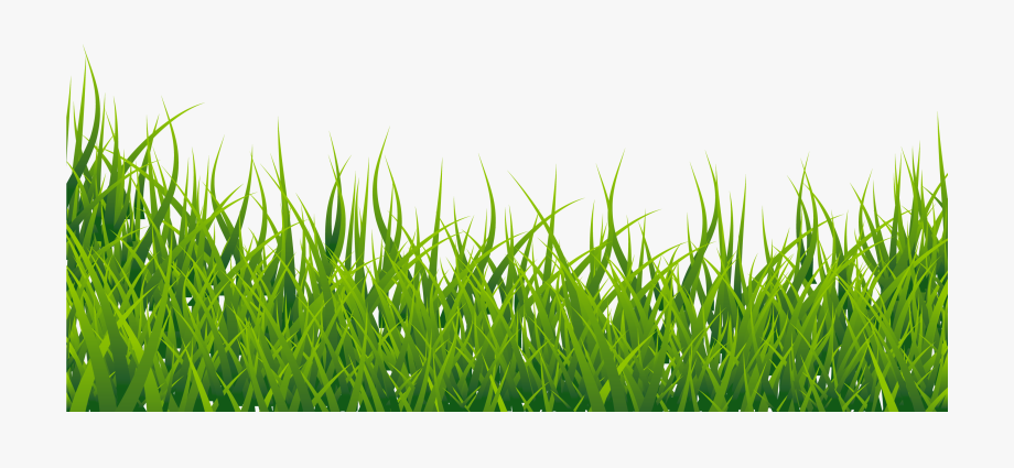 Grass vector grass.