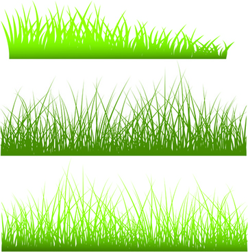 Grass free vector.