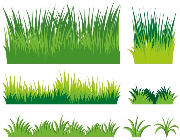 Grass vectors photos.