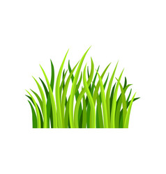 Grass Clipart Vector Images