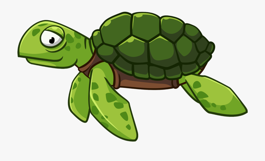 Green turtle cliparts.