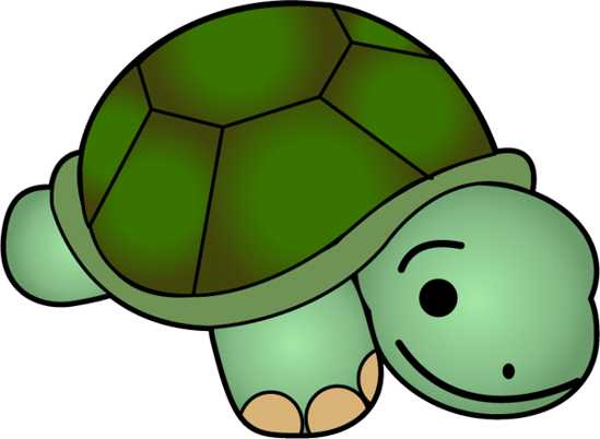 green turtle clipart baby