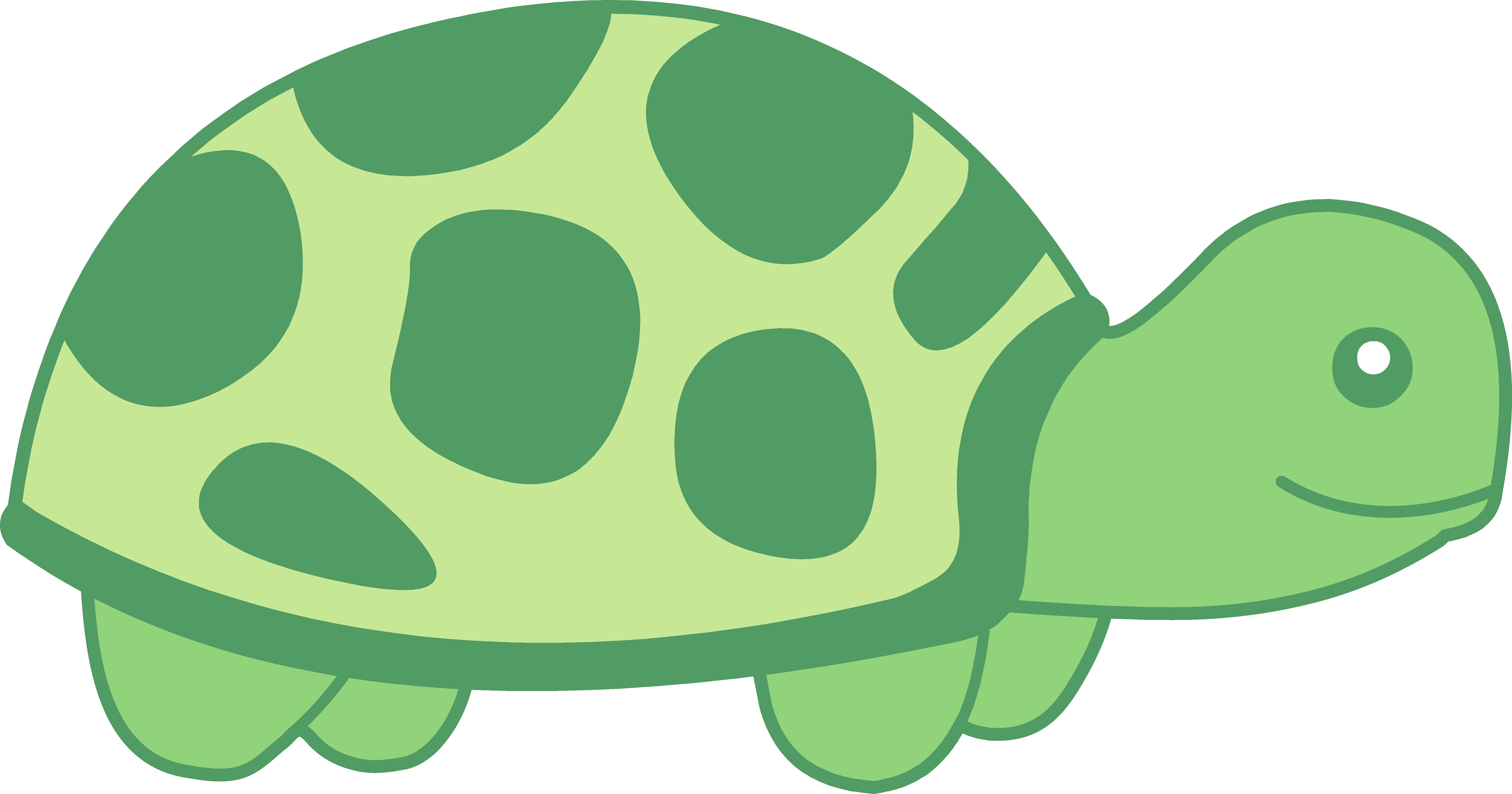 Cute Baby Turtle Little Green clipart free image