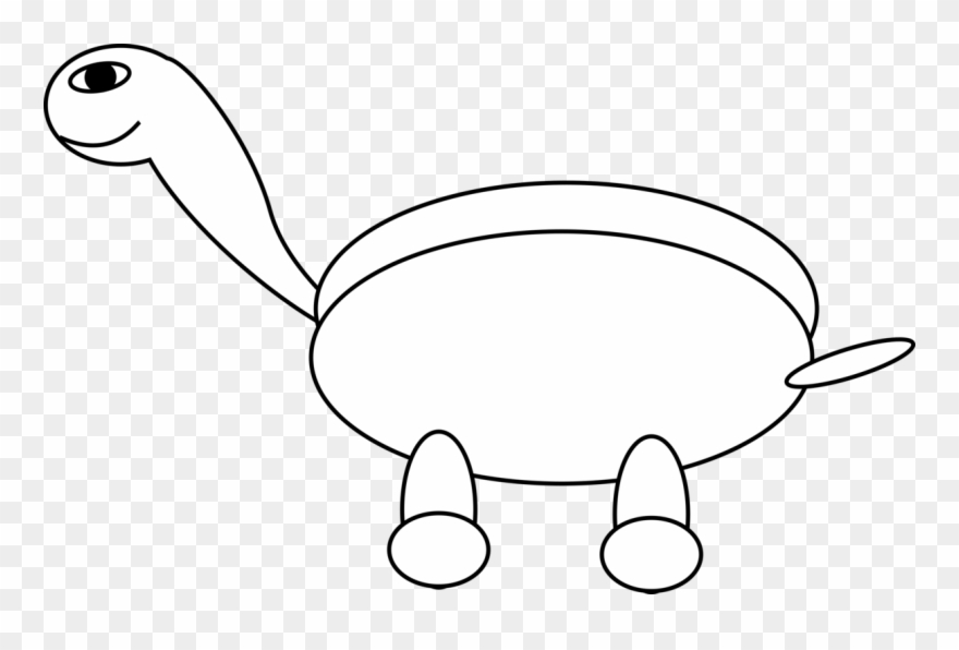 Green Sea Turtle Drawing Aquatic Animal