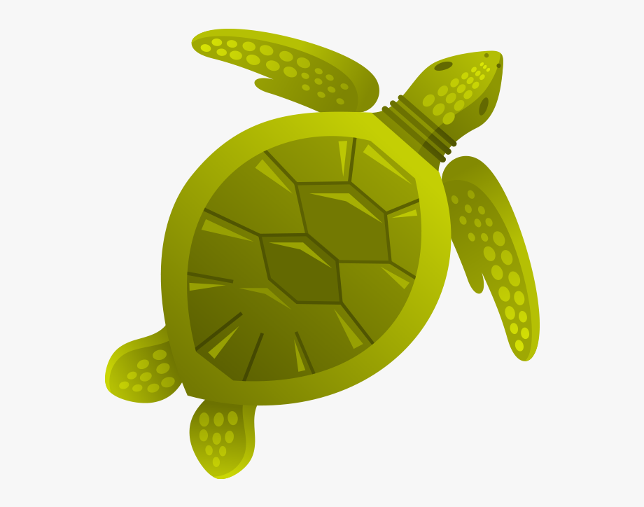 Green Turtle, Clip Art, Pictures