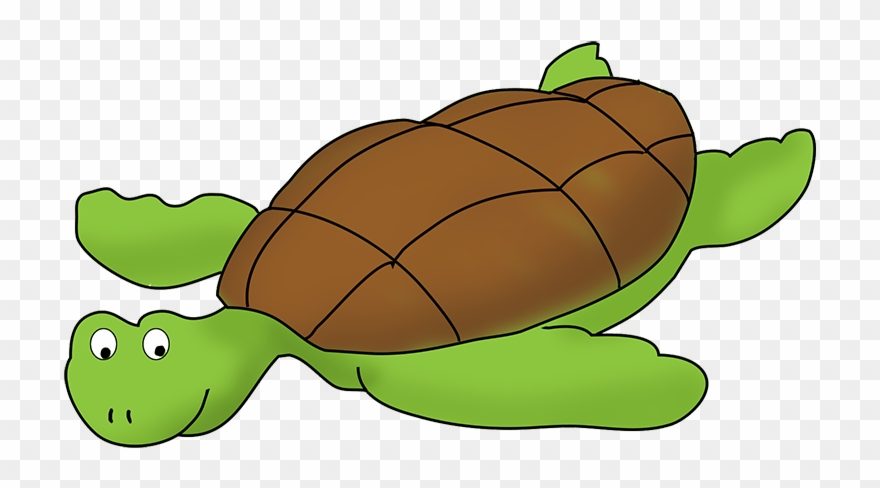Box turtle PNG Images
